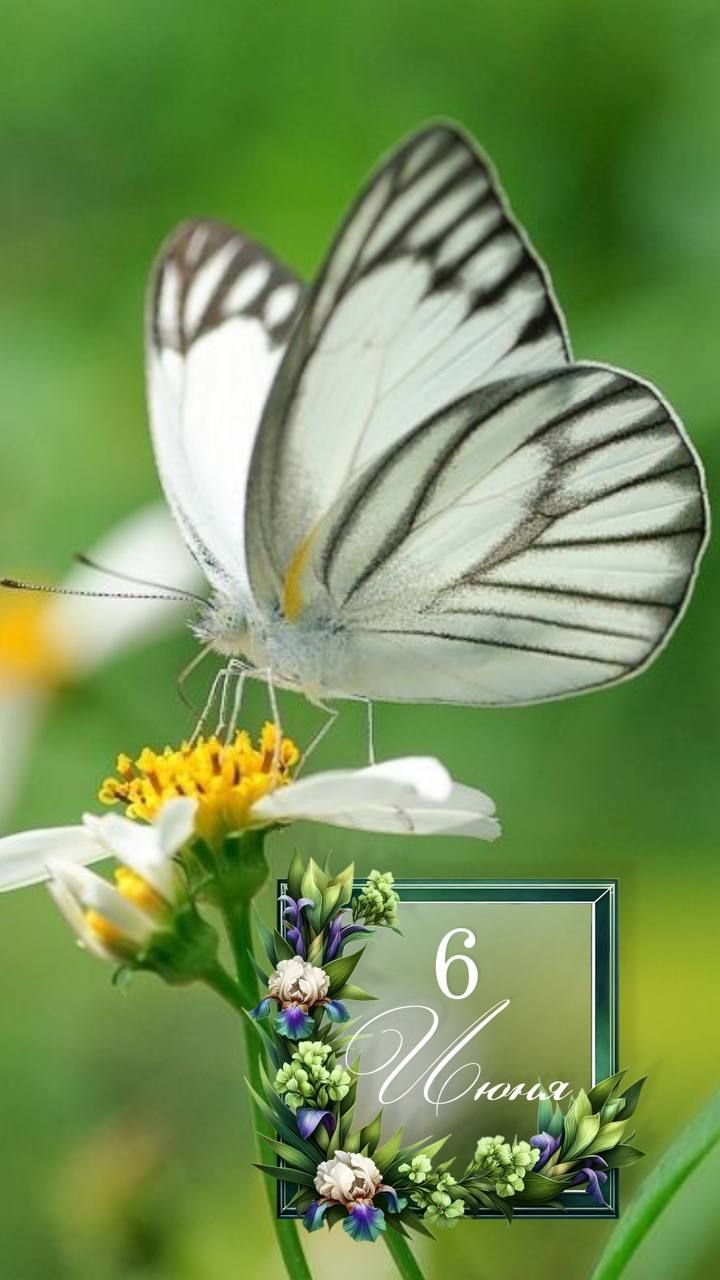 6 Июня