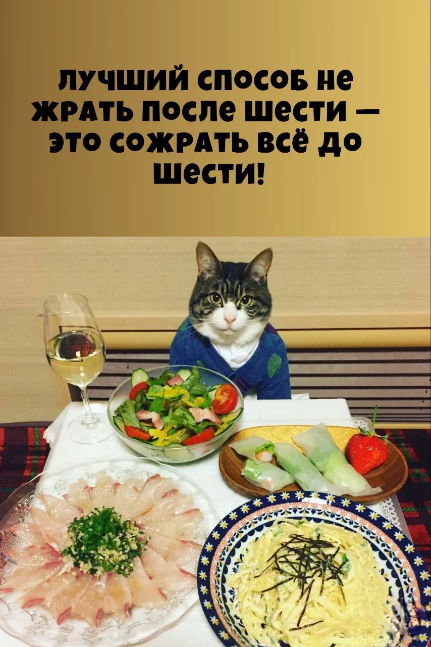 ЛУЧШИЙ СПОСОБ НЕ ЖРАТЬ ПОСЛЕ ШЕСТИ — ЭТО СОЖРАТЬ ВСЁ ДО ШЕСТИ!