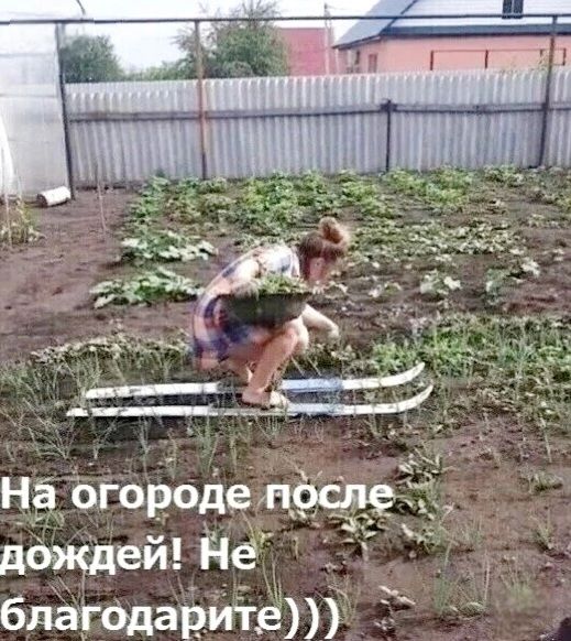 На огороде после дождей! Не благодарите)))