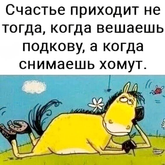 Счастье приходит не тогда, когда вешаешь подкову, а когда снимаешь хомут.