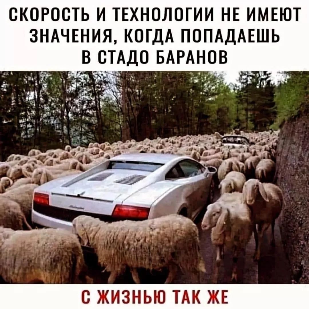 СКОРОСТЬ И ТЕХНОЛОГИИ НЕ ИМЕЮТ ЗНАЧЕНИЯ, КОГДА ПОПАДАЕШЬ В СТАДО БАРАНОВ
С ЖИЗНЬЮ ТАК ЖЕ
