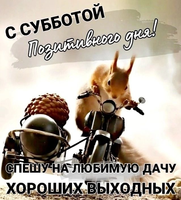 С СУББОТОЙ
Позивительного дня!
СПЕШУ НА ЛЮБИМУЮ ДАЧУ
ХОРОШИХ ВЫХОДНЫХ
