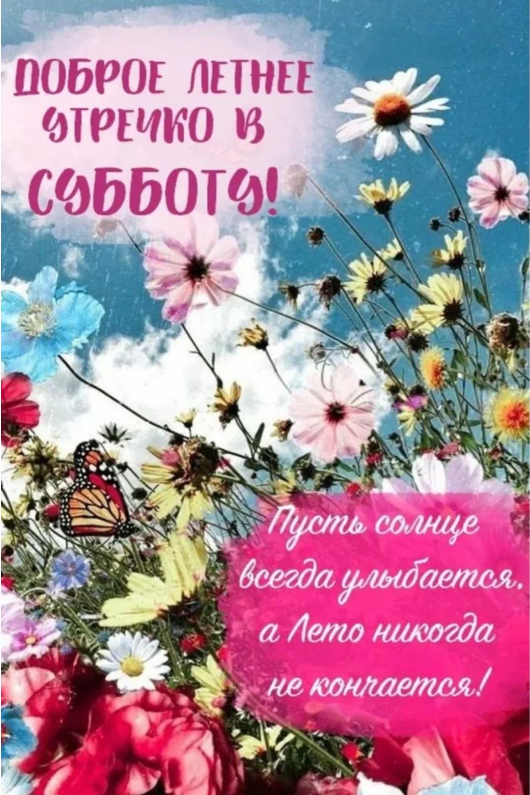 ДОБРОЕ ЛЕТНЕЕ УТРОЧКО В СУББОТУ! Пусть солнце всегда улыбается, а Лето никогда не кончается!