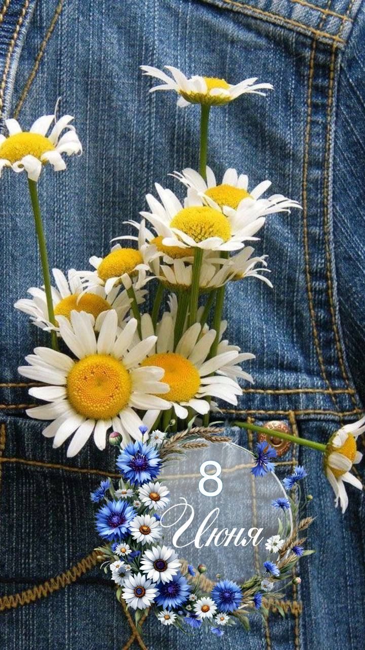 8 Июня