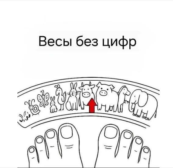 Весы без цифр