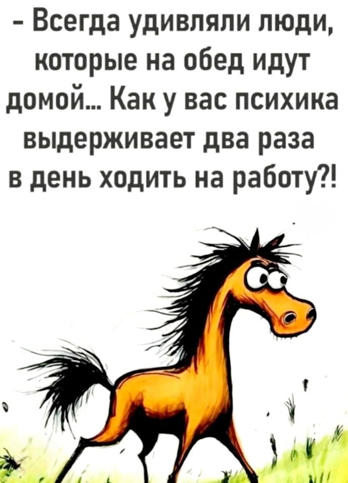 - Всегда удивляли люди, которые на обед идут домой... Как у вас психика выдерживает два раза в день ходить на работу?!