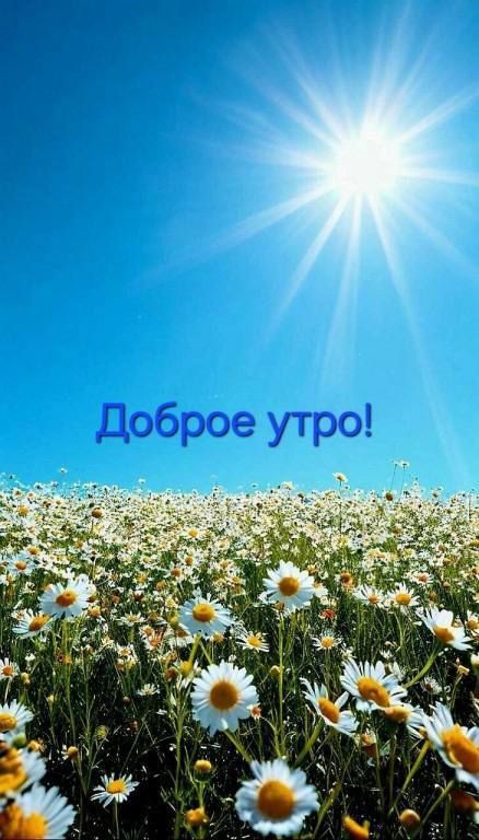 Доброе утро!