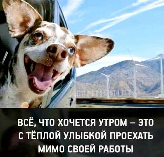ВСЁ, ЧТО ХОЧЕТСЯ УТРОМ – ЭТО С ТЁПЛОЙ УЛЫБКОЙ ПРОЕХАТЬ МИМО СВОЕЙ РАБОТЫ