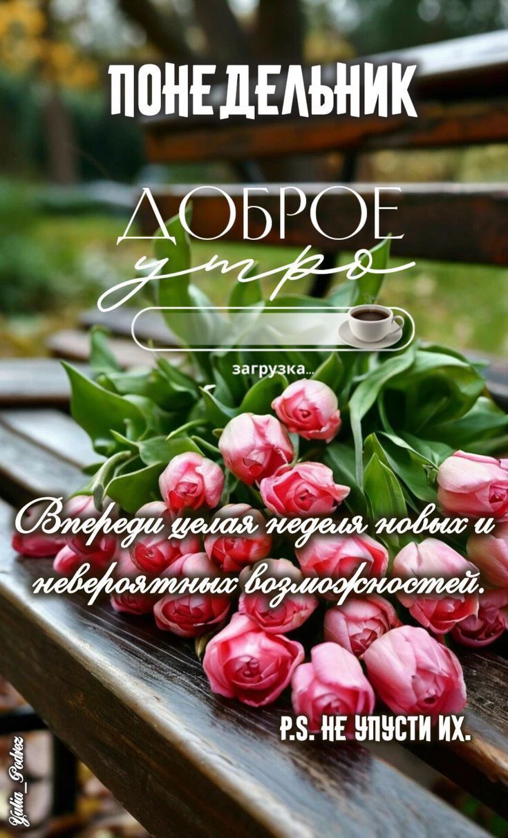 ПОНЕДЕЛЬНИК
ДОБРОЕ УТРО

Впереди целая неделя новых и невероятных возможностей.
P.S. НЕ УПУСТИ ИХ.
