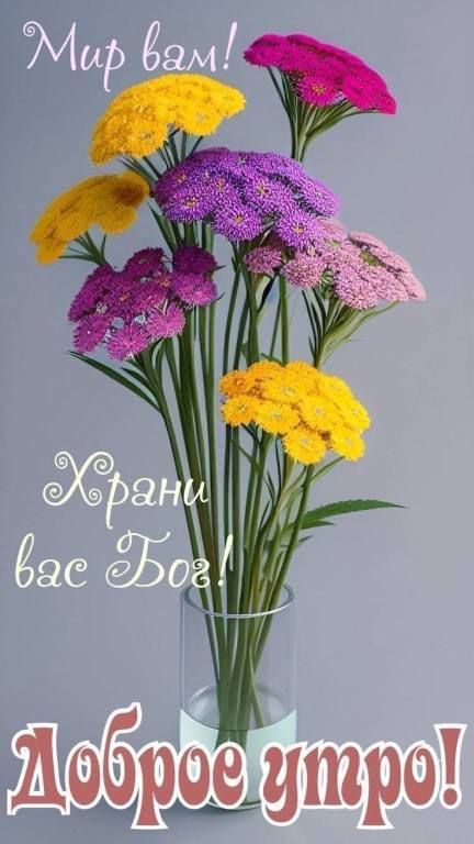 Мир вам! Храни вас Бог! Доброе утро!