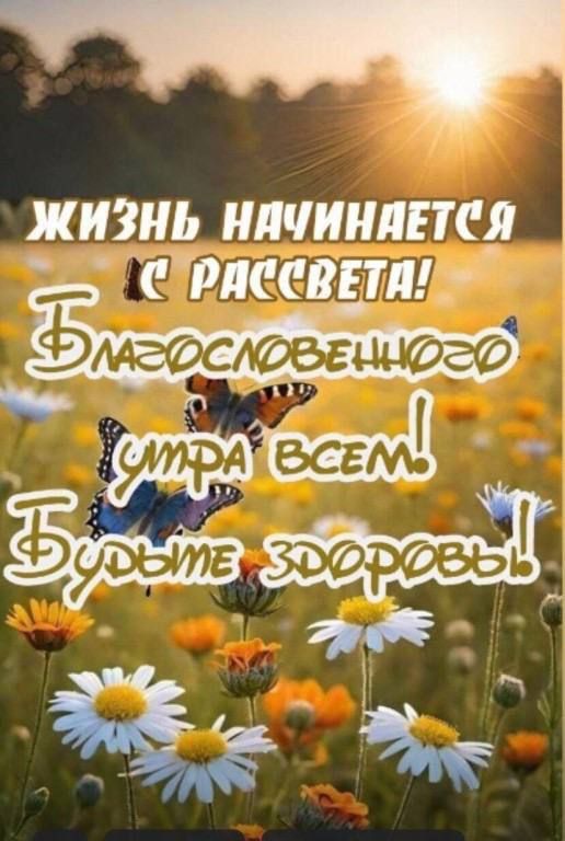 ЖИЗНЬ НАЧИНАЕТСЯ С РАССВЕТА! Благословенного утра всем! Будьте здоровы!