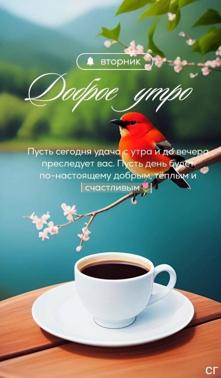 Доброе утро
Пусть сегодня удача с утра и днём вечером преследует вас. Пусть день будет по-настоящему добрым, тёплым и счастливым.