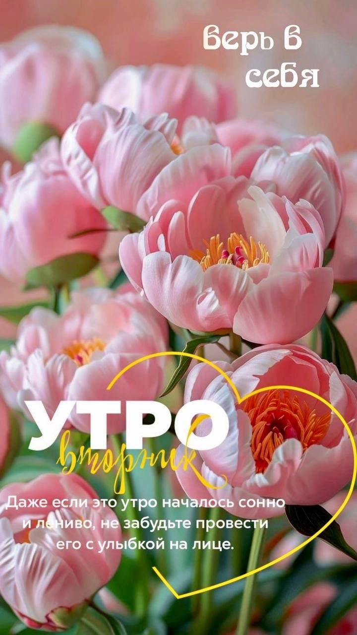 верь в себя

Даже если это утро началось сонно и лениво, не забудьте провести его с улыбкой на лице.