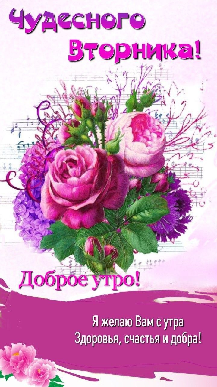Чудесного Вторника!
Доброе утро!
Я желаю Вам с утра Здоровья, счастья и добра!