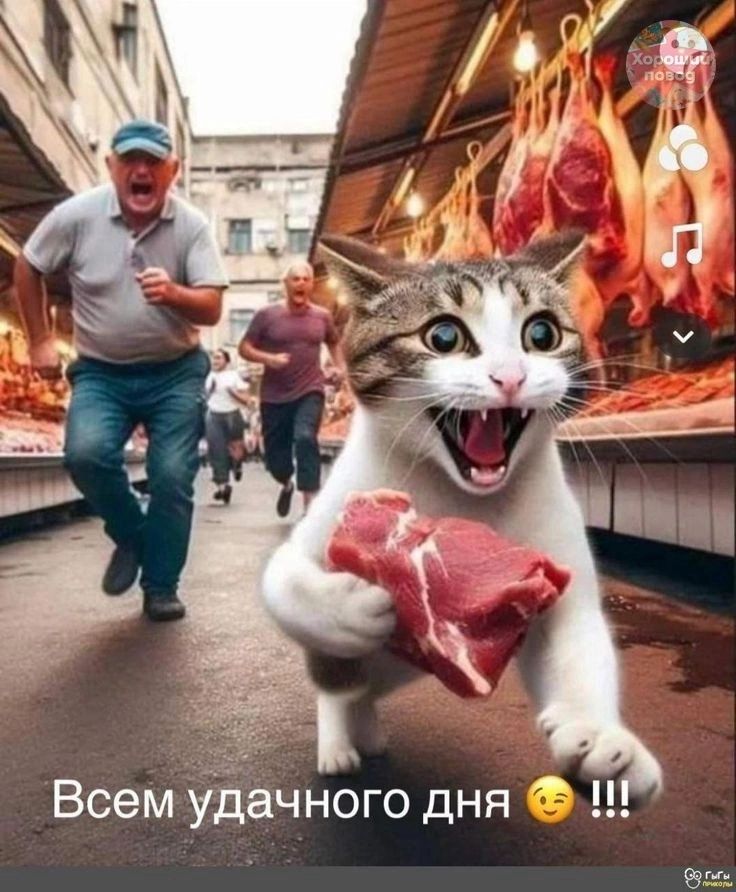 Всем удачного дня 😉 !!!