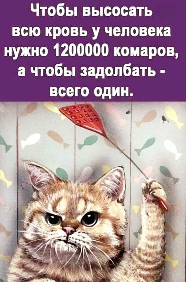 Чтобы высосать всю кровь у человека нужно 1200000 комаров, а чтобы задолбать - всего один.