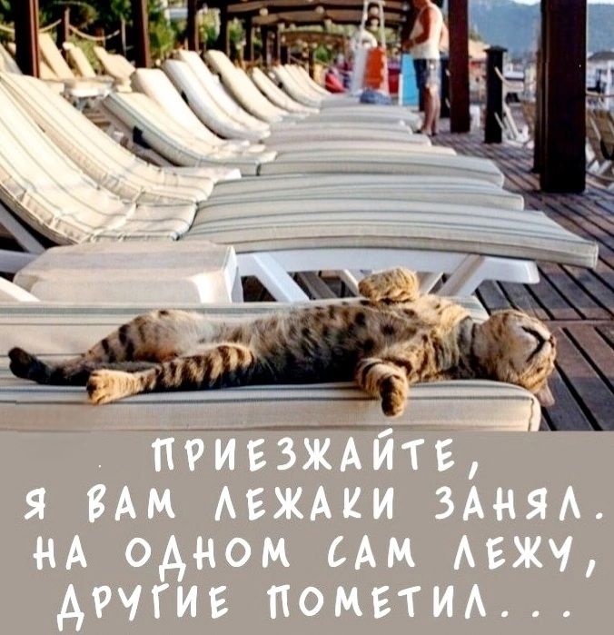 Приезжайте, я вам лежаки занял. На одном сам лежу, другие заметил...
