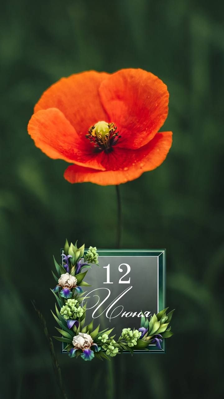 12 Июня