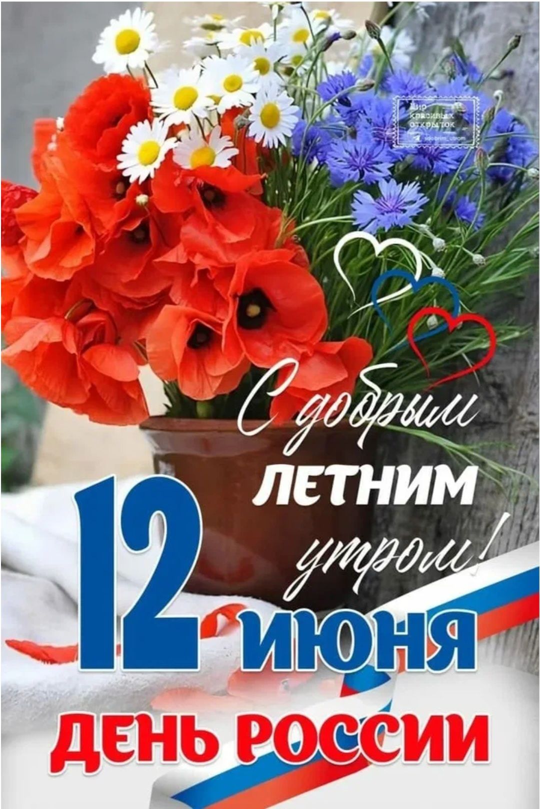 С добрым ЛЕТНИМ утром! 12 июня ДЕНЬ РОССИИ