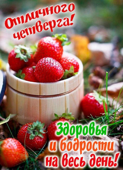Отличного четверга! Здоровья и бодрости на весь день!