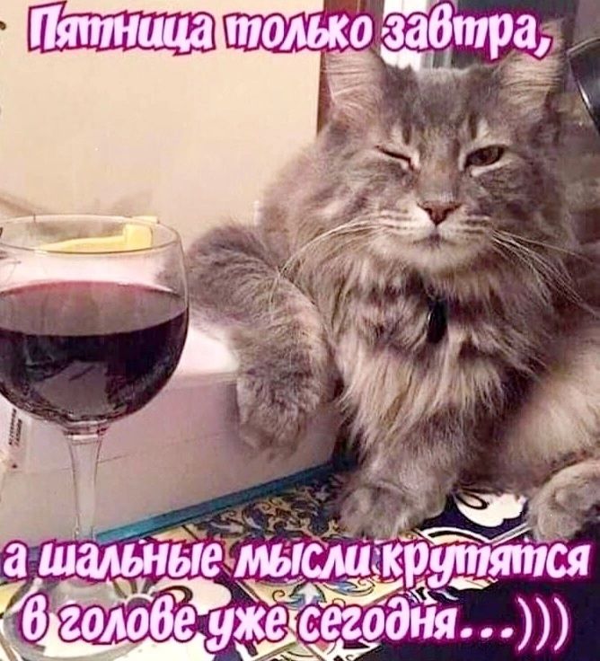 Пятница только завтра, а шальной мысли крутятся в голове уже сегодня...)))