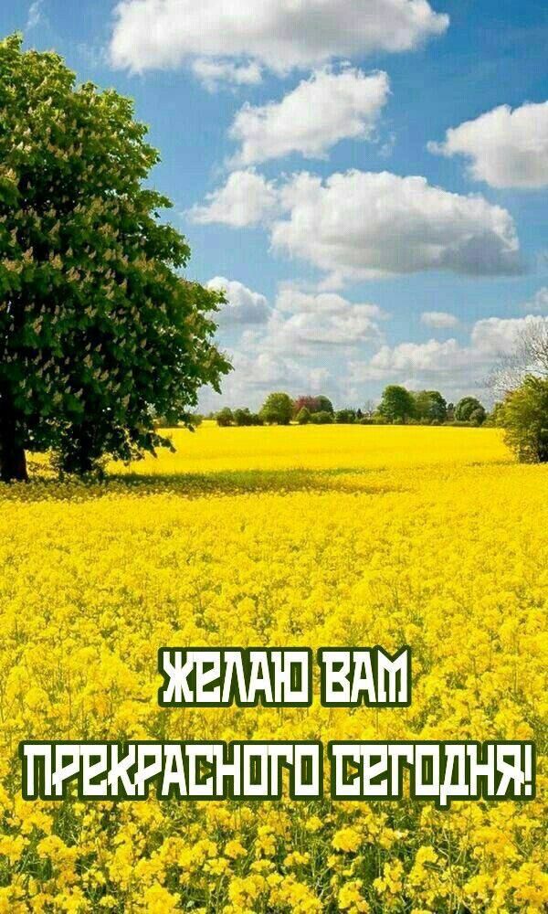 Желаю вам прекрасного сегодня!