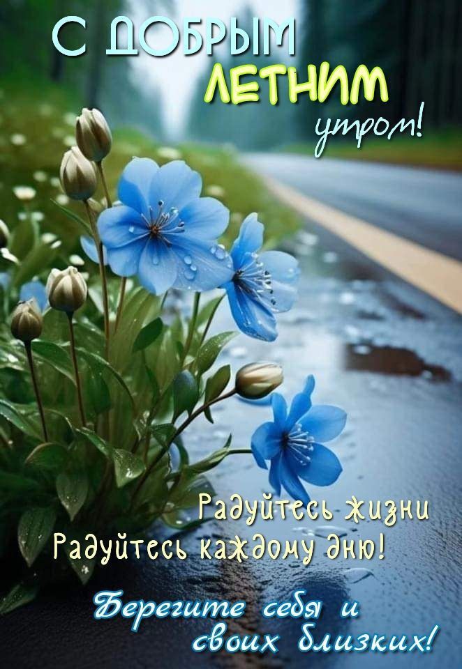 С ДОБРЫМ ЛЕТНИМ утром!
Радуйтесь жизни
Радуйтесь каждому дню!
Берегите себя и своих близких!