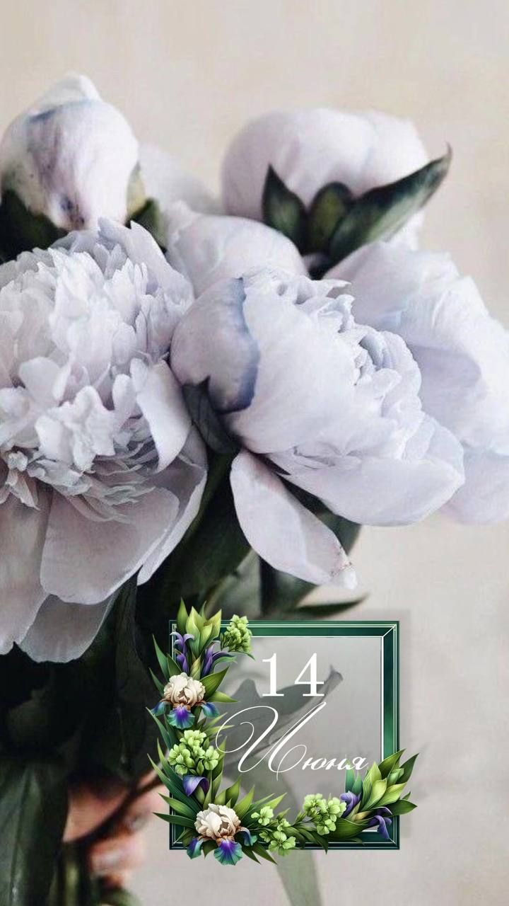 14 Июня