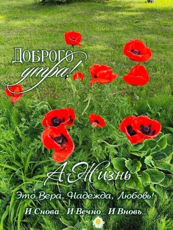 Доброе утро!
А Жизнь
Это Вера, Надежда, Любовь!
И Снова... И Вечно... И Вновь...
