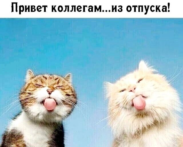 Привет коллегам...из отпуска!