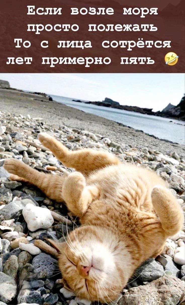 Если возле моря просто полежать То с лица сотрётся лет примерно пять 😂