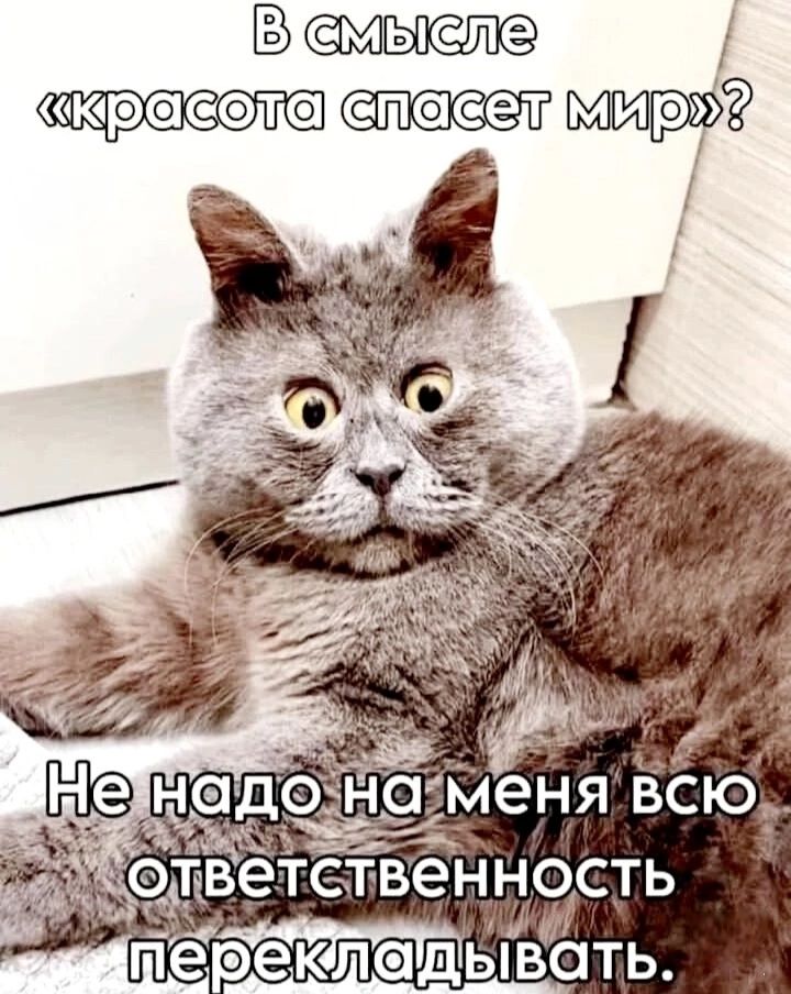В смысле «красота спасет мир»? Не надо на меня всю ответственность перекладывать.