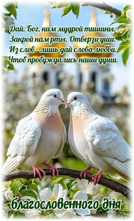 Дай, Боже, нам мудрой тишины. Закрой нам рты. Отверзши уши. Из слов - лишь дай слова любви, Чтоб пробуждались наши души.
благословенного дня