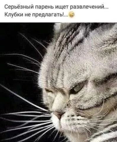 Серьёзный парень ищет развлечений... Клубки не предлагать!...