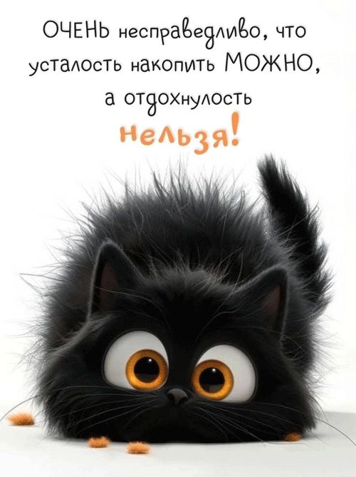 ОЧЕНЬ несправедливо, что усталость накопить МОЖНО, а отдохнуть нельзя!