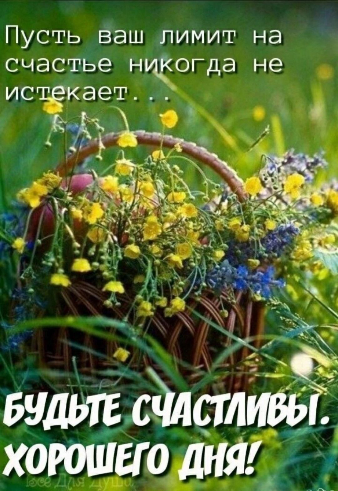 Пусть ваш лимит на счастье никогда не истекает...
БУДЬТЕ СЧАСТЛИВЫ. ХОРОШЕГО ДНЯ!