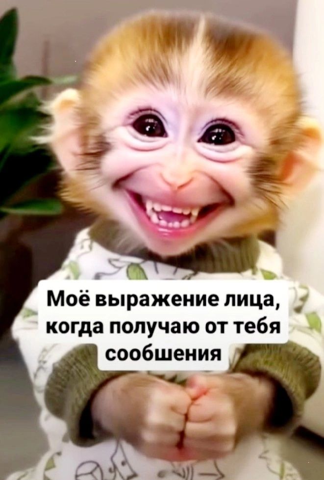 Моё выражение лица, когда получаю от тебя сообщения