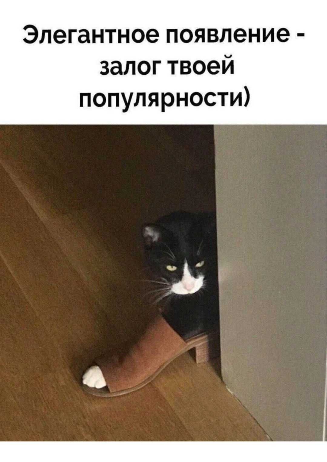 Элегантное появление - залог твоей популярности)