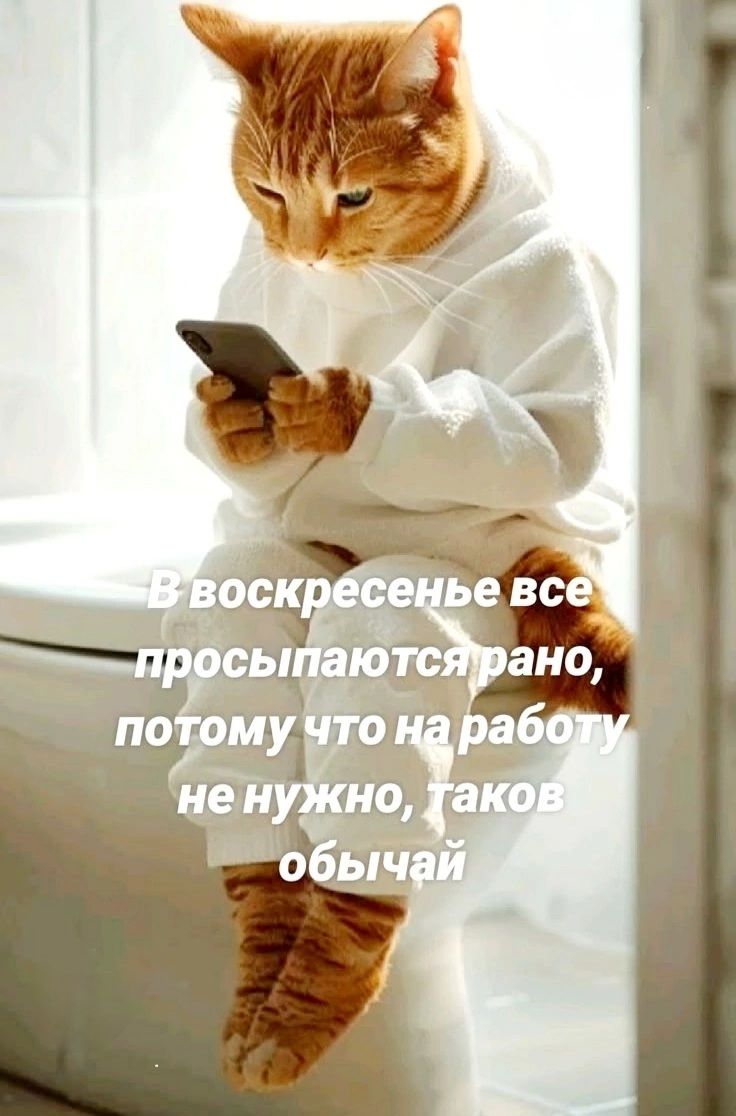 В воскресенье все просыпаются рано, потому что на работу не нужно, таков обычай