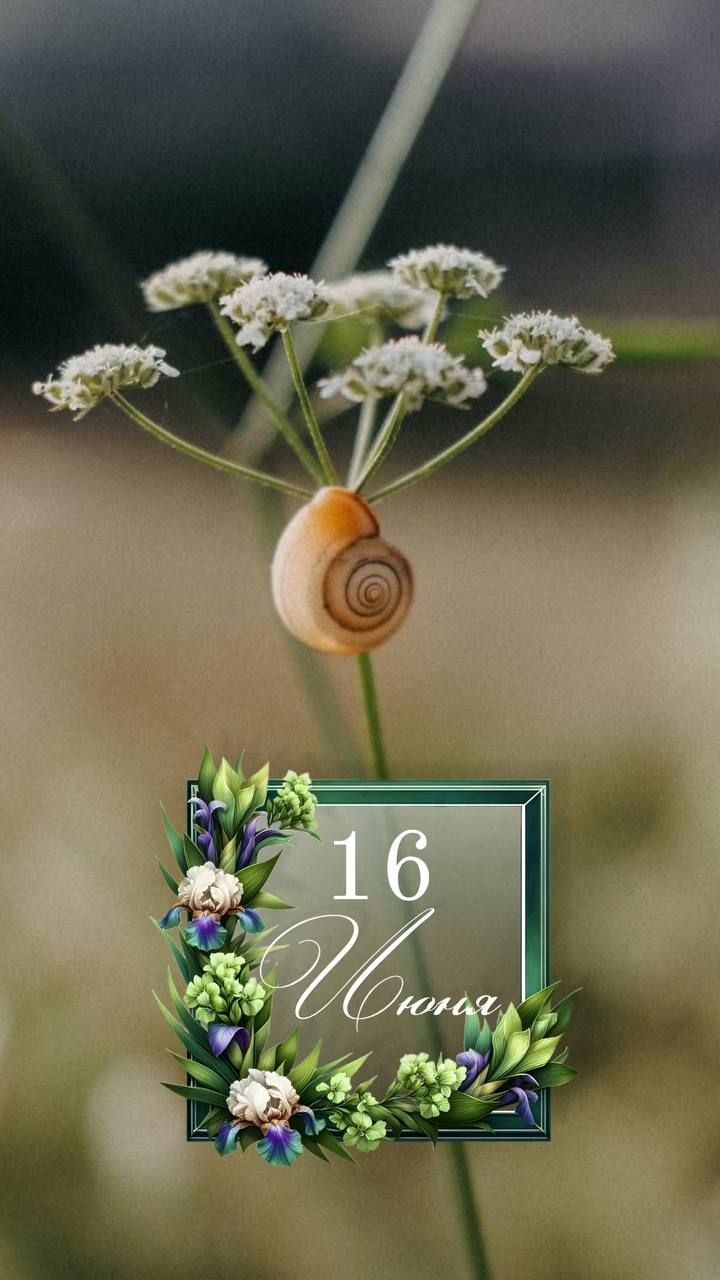 16 Июня