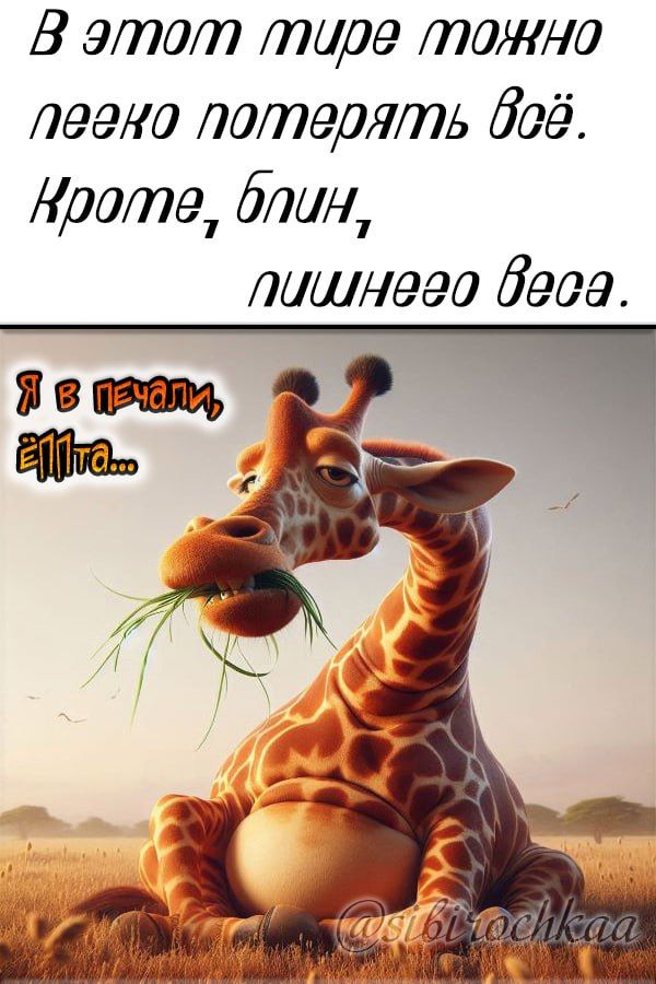 В этом мире можно легко потерять всё. Кроме, блин, лишнего веса. Я в печали, ё🎉па...