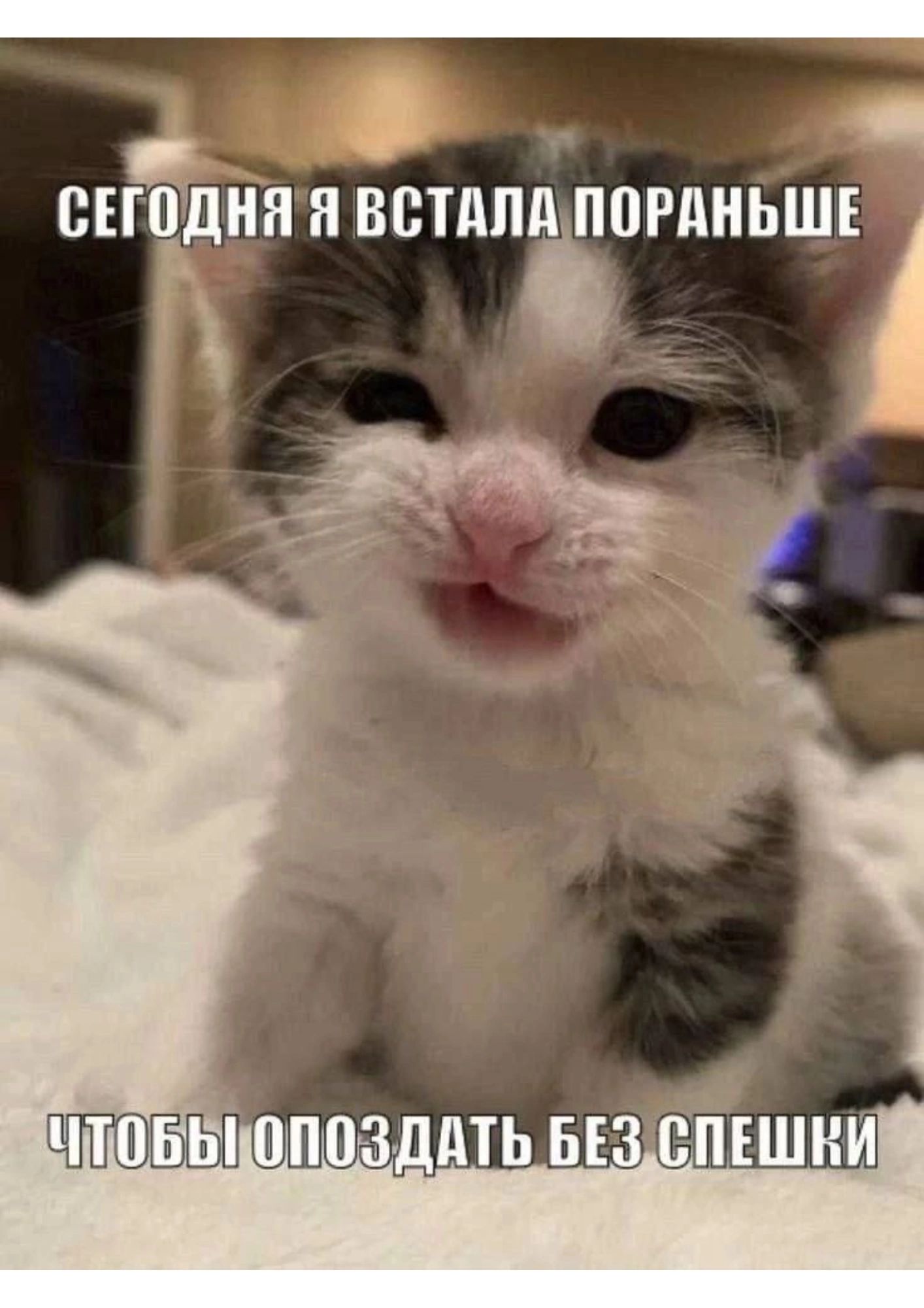 СЕГОДНЯ Я ВСТАЛА ПОРАНЬШЕ ЧТОБЫ ОПОЗДАТЬ БЕЗ СПЕШКИ