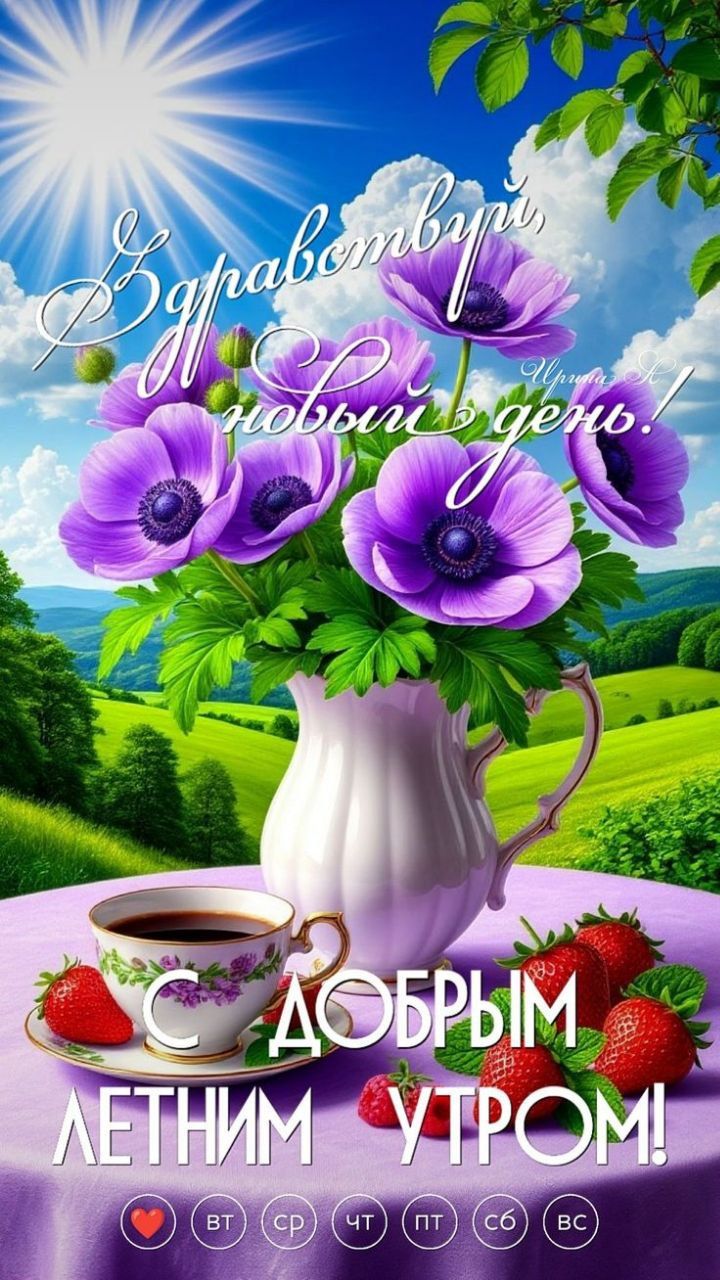 Здравствуйте, новый день! С добрым летним утром!