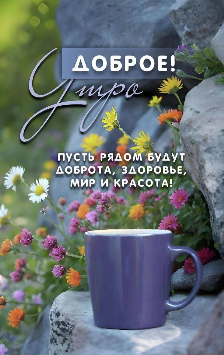 ДОБРОЕ! Утро ПУСТЬ РЯДОМ БУДУТ ДОБРОТА, ЗДОРОВЬЕ, МИР И КРАСОТА!
