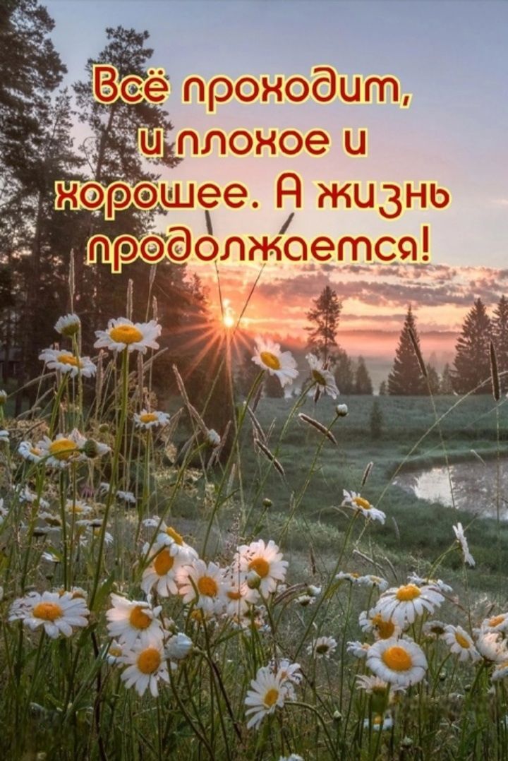 Всё проходит, и плохое и хорошее. А жизнь продолжается!