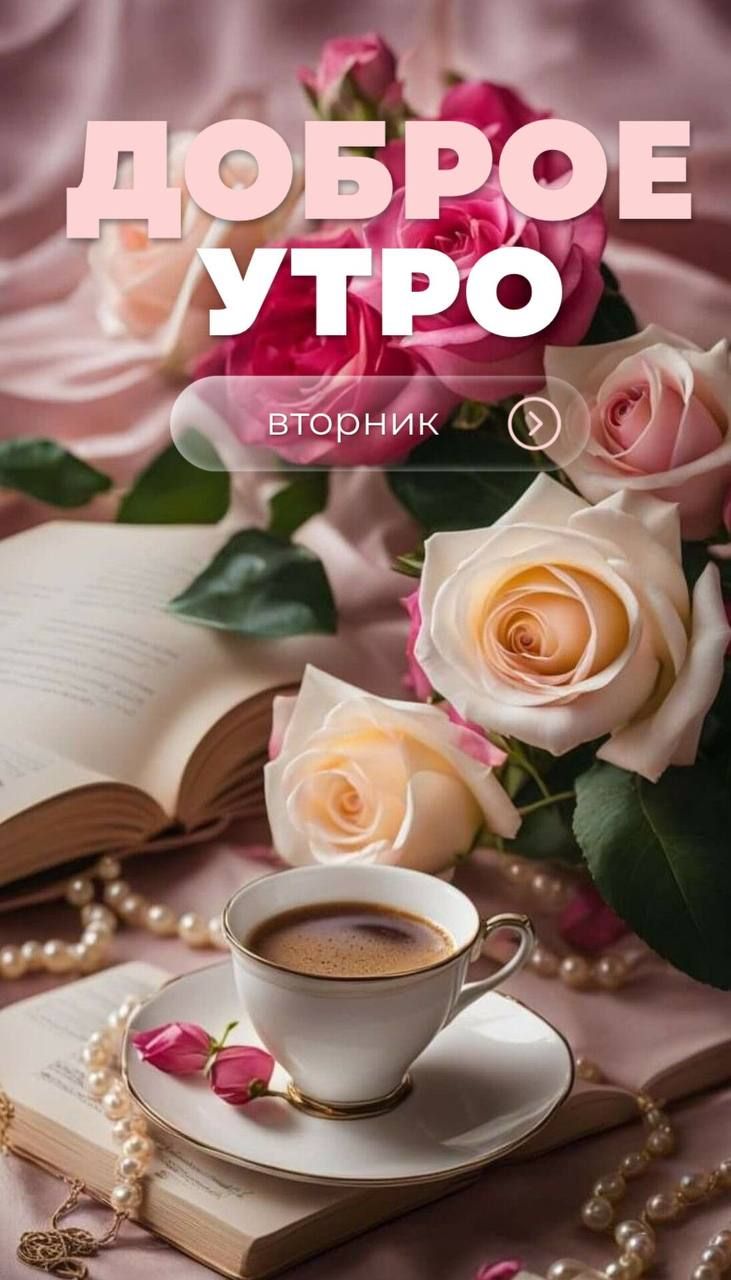 ДОБРОЕ УТРО
вторник