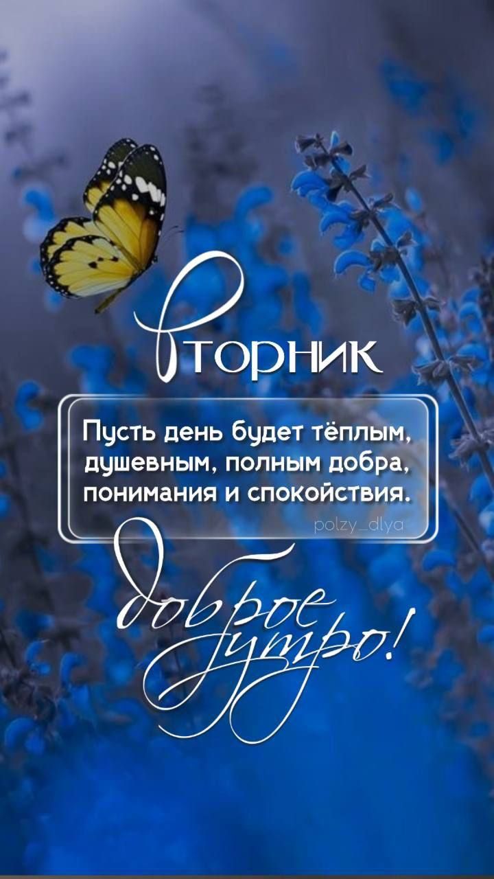 Вторник
Пусть день будет тёплым, душевным, полным добра, понимания и спокойствия.
доброе утро!