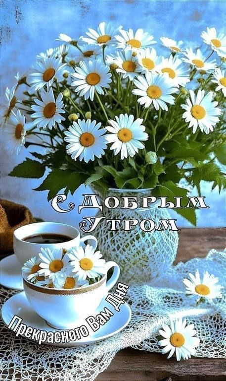 С ДОБРЫМ УТРОМ
Прекрасного Вам Дня