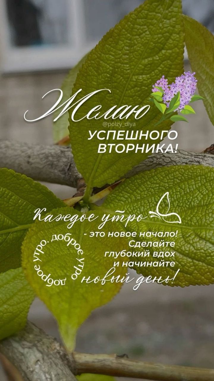 Желаю УСПЕШНОГО ВТОРНИКА! Каждое утро – это новое начало! Сделайте глубокий вдох и начинайте новый день!