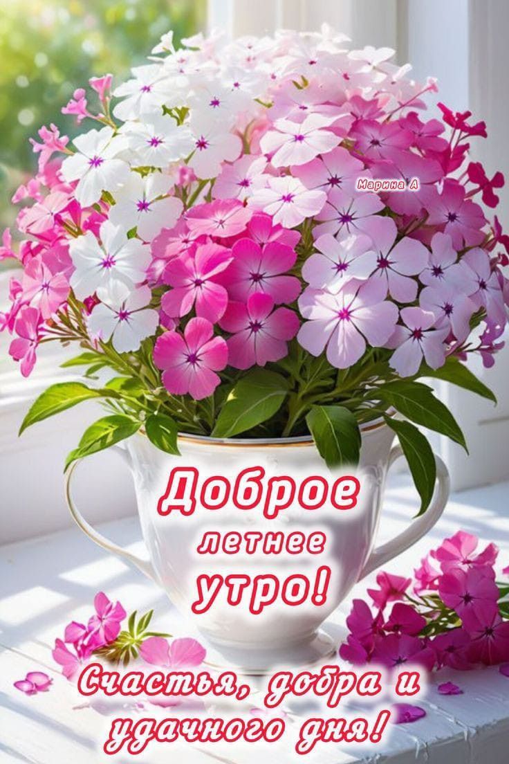 Доброе летнее утро! Счастья, добра и удачного дня!